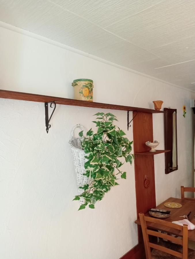 Casa Vacanze Il Girasole Caltagirone Exteriör bild